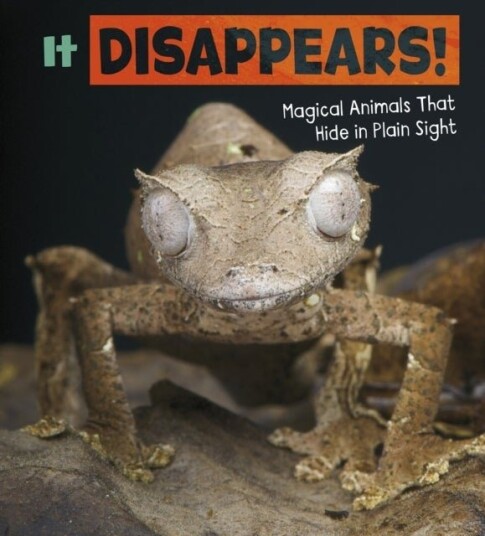 It Disappears! It Disappears!