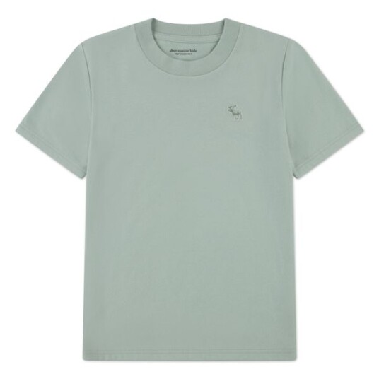 Abercrombie & Fitch T skjorte green 170/176