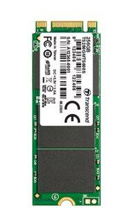 Transcend MTS600S - SSD - 64 GB - SATA 6Gb/s