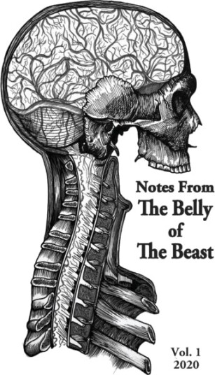 Notes From The Belly Of The Beast