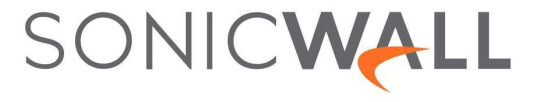 SONICWALL Firewall SSL VPN - Lisens - 1000 brukere