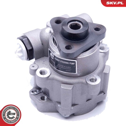 Servopumpe ESEN SKV 10SKV249