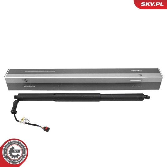Elektromotor bakluke ESEN SKV 52SKV248 Elektromotor bakluke ESEN SKV 52SKV248