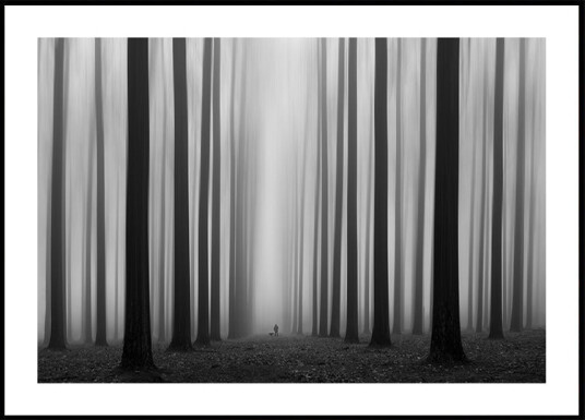 Labyrinth Plakat / 70x100cm Labyrinth Plakat / 70x100cm