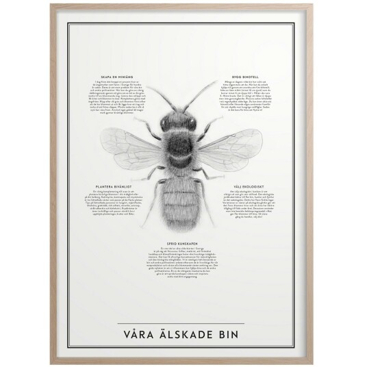 Kunskapstavlan® Våra Älskade Bin Plakat 50x70 cm