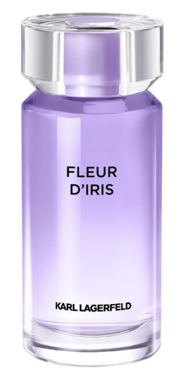 Karl Lagerfeld Fleur D'Iris 100ml Eau de Parfum for Women