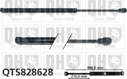QUINTON HAZELL QTS828628 Baklukedemper