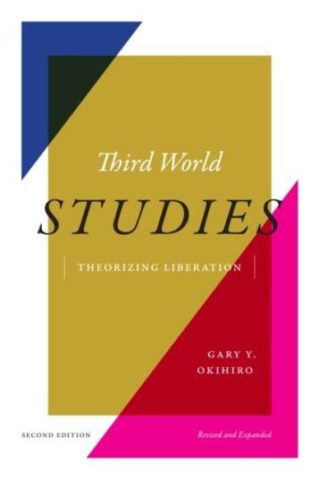 Third World Studies Theorizing Liberation