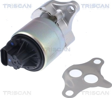 EGR-ventil TRISCAN 8813 21001