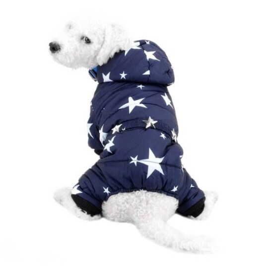 Blå Vinterdress Med Stjerner Til Hund