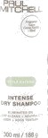 Paul Mitchell Intense Dry Shampoo 300ml