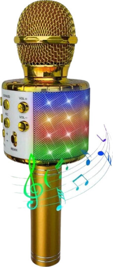 Party Fun Lights Karaoke Microphone with Speaker Gold 605602 Party Fun Lights Karaoke Microphone with Speaker Gold 605602