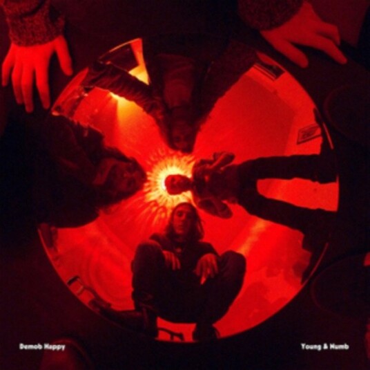 Demob Happy Young Numb Ep Uk Vinyl