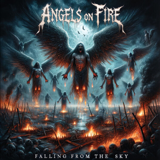Angels On Fire Falling From The Sky CD