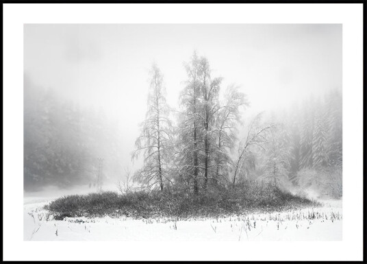 Winter in the mountain Plakat Plakat / 21x30cm Winter in the mountain Plakat Plakat / 21x30cm