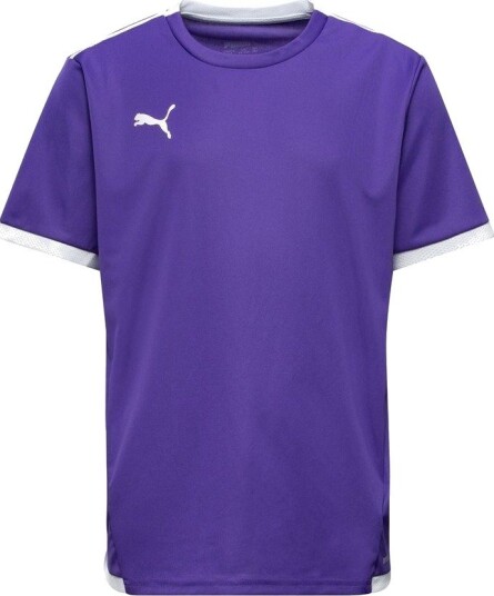 PUMA Spillerdrakt Teamliga   Lilla/PUMA White Barn størrelse 164 cm