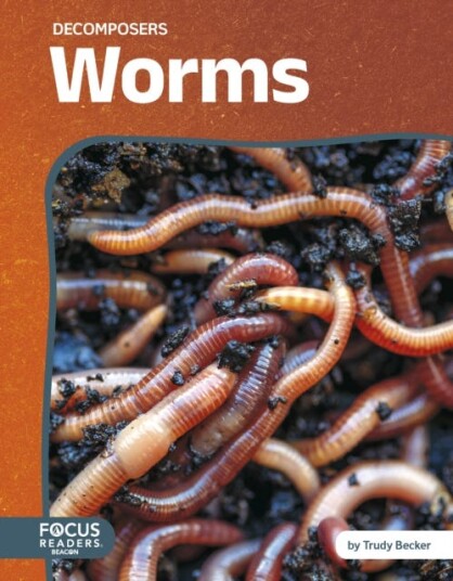 Decomposers: Worms Decomposers: Worms