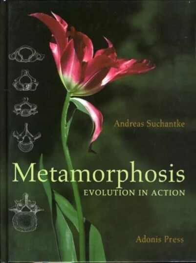 Metamorphosis Av Andreas Suchantke
