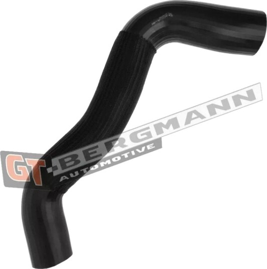 GT BERGMANN GT52 484 Ladeluftslange