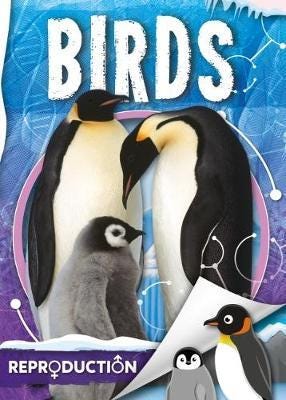 Birds Av Joanna Brundle