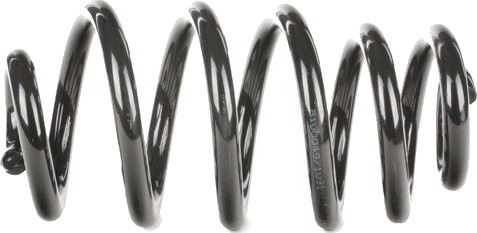 RIDEX 188C0246 Fjær