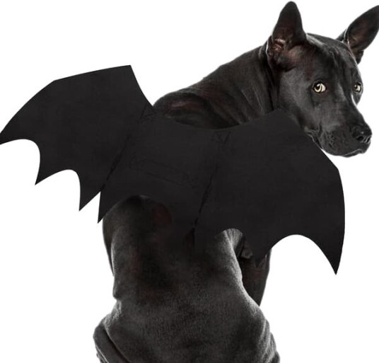 Halloween Hundeflaggermusvinger Kjæledyrkostyme med Gresskarbjeller