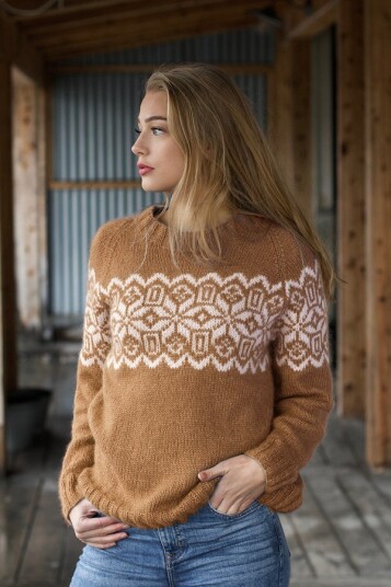 DICTE Camel