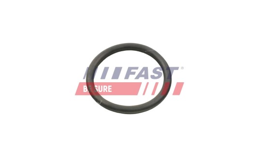 FAST FT49934 Pakning vannpumpe