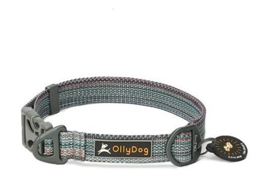 OllyDog Flagstaff Collar