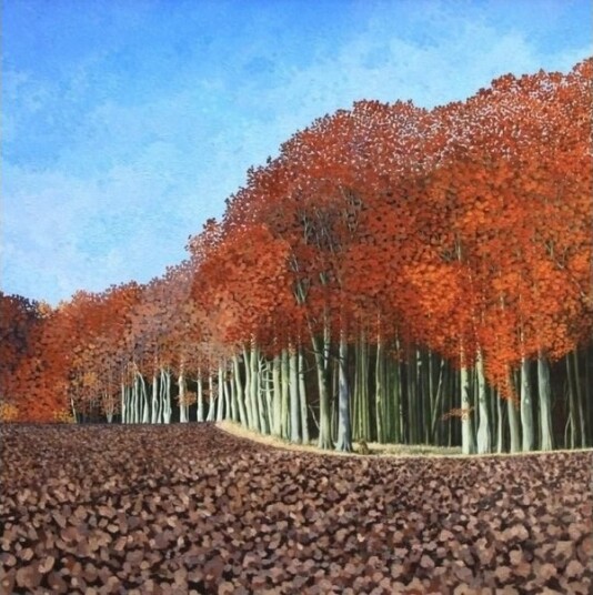 Kort Med Konvolutt Autumn Beech Tree Kort Med Konvolutt Autumn Beech Tree