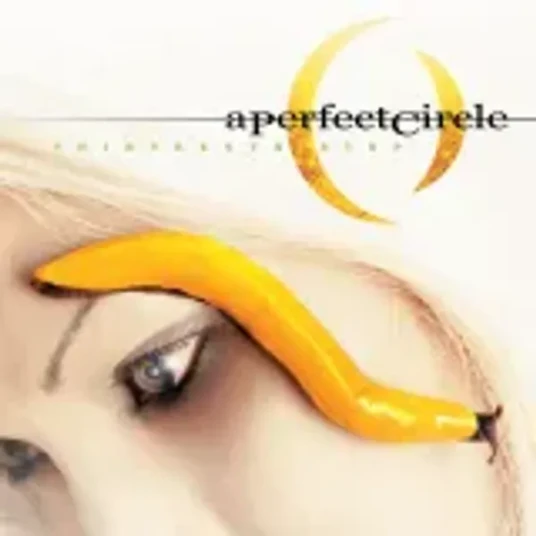 A Perfect Circle   Thirteenth Step CD