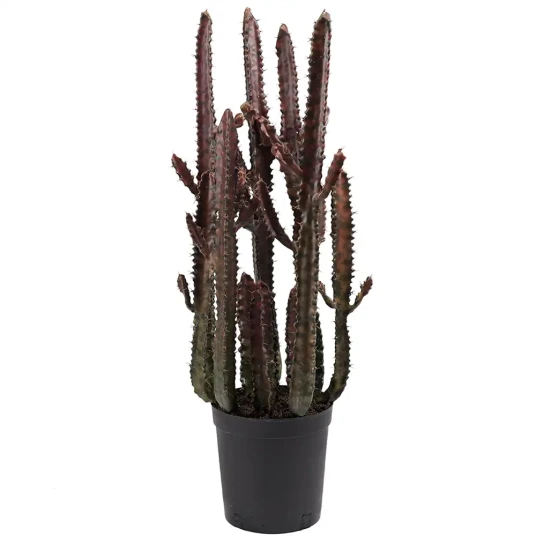 Mr Plant Kaktus 65 cm Mr Plant Kaktus 65 cm