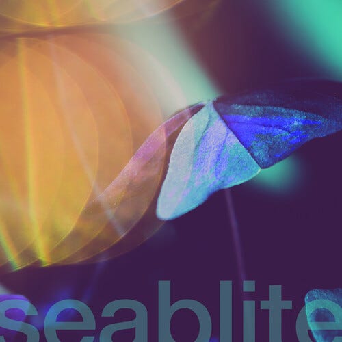 Seablite Breadcrumbs LP/Vinyl