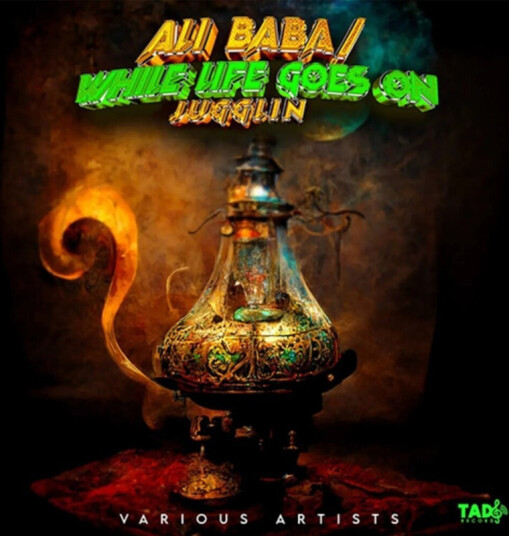 Diverse Artister Ali Baba Riddim: While Life Goes On CD