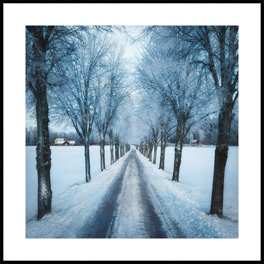 Swedish winter Plakat Plakat / 40x40cm