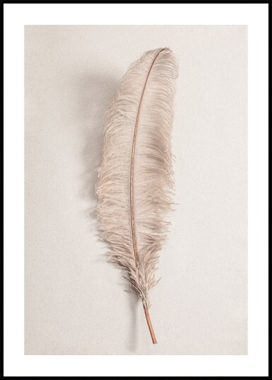Pictufy Studio Iii Feather No.2 Plakat Plakat / 50x70cm