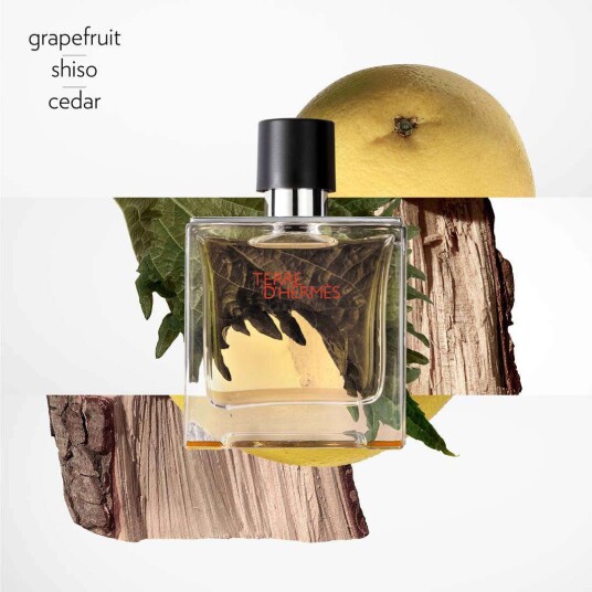 Hermès Terre d'Hermès Parfum Refill 125 ml for Men