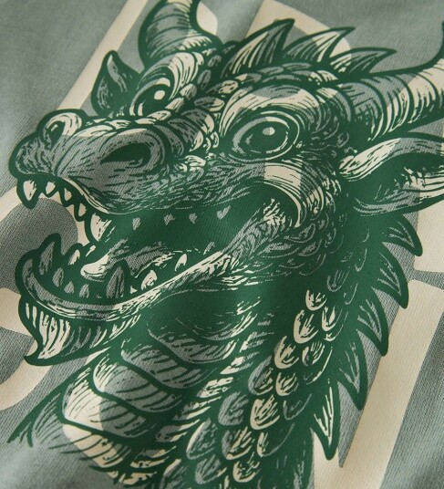 Name It Collegegenser NmmVion Green Milieu/Dragon Name It 6 år 116 Collegegenser Armygrønn Grønn