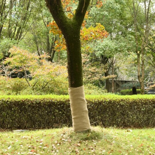 Juterull 1x15 m 100% jute 200 gsm Juterull 1x15 m 100% jute 200 gsm