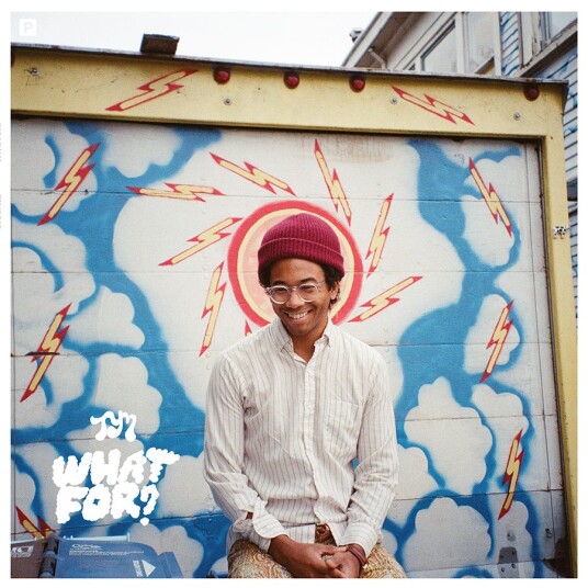 Toro Y Moi What For? LP/Vinyl