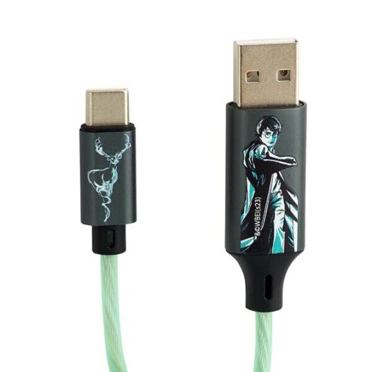 Harry Potter Light-Up USB til USB-C Kabel 1,2m Grønn/Svart