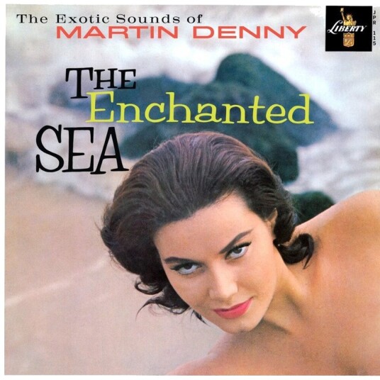 Enchanted Sea Usa Vinyl