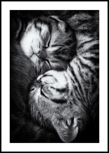 Yin and Yang Plakat / 100x150cm
