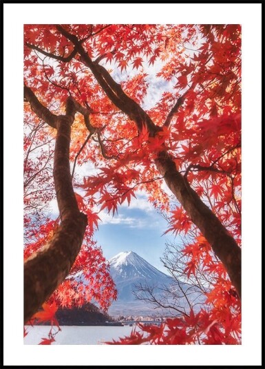 Mt.fuji is in the autumn leaves Plakat / 70x100cm Mt.fuji is in the autumn leaves Plakat / 70x100cm