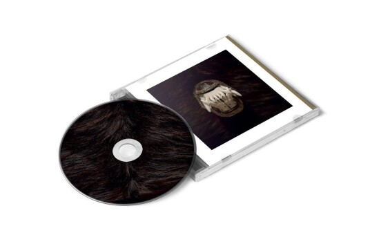 Amenra De Toorn CD Amenra De Toorn CD