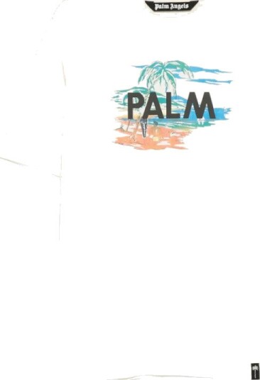 Palm Angels, Herre, Topper, Hvit, 2XL,