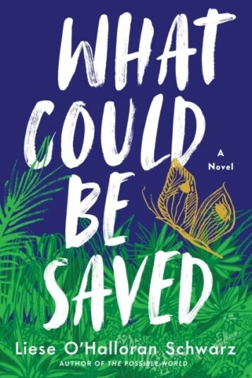 What Could Be Saved Av Liese O'Halloran Schwarz