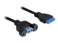 Delock USB 3.0 Pin Header - intern-til-ekstern USB-kabel - USB-type A til 19-pins USB 3.0-plugg - 50 cm