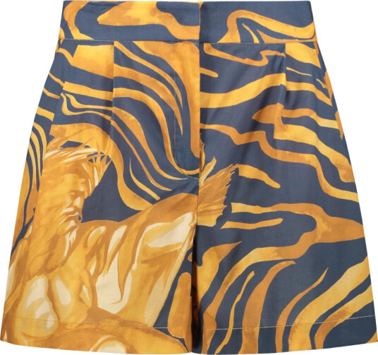 Alberta Ferretti Dame Shorts Flerfarget S,