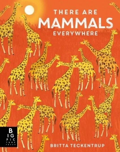 There Are Mammals Everywhere Av Camilla De La Bedoyere